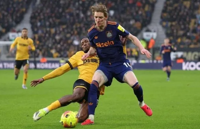 التعادل السلبي يحسم مباراة وولفرهامبتون ضد نيوكاسل فى الدوري الإنجليزي