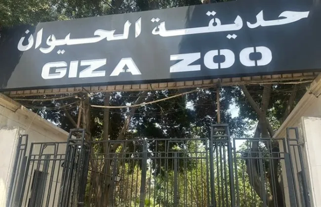 موعد افتتاح حديقة الحيوان