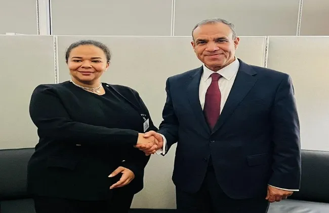 مصر والكونغو تؤكدان أهمية الالتزام بقواعد القانون الدولى الحاكمة للمجارى المائية