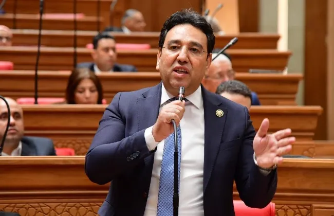 أيمن محسب: تشكيل لجنتين فرعيتين للدين العام والأسواق وتقييم أداء الحكومة