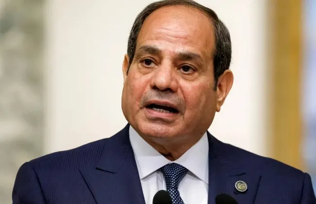 الرئيس السيسى: نهضة القارة الأفريقية وازدهارها حق مشروع ينبغى التمسك به