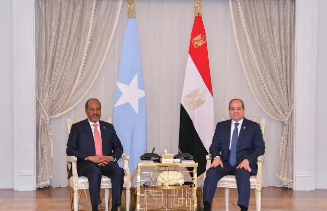 الرئيس السيسى ونظيره الصومالى يبحثان القضايا المرتبطة بأمن واستقرار القرن الأفريقى